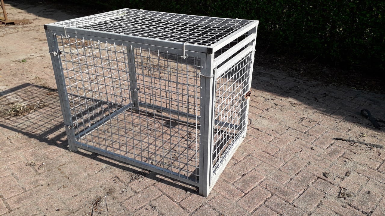 Te koop: stevige bench voor honden, katten, konijn  of kippen