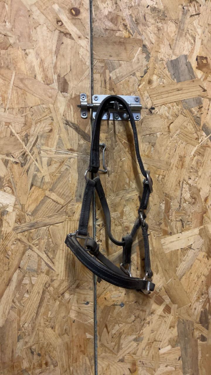 Mini shetlander halster