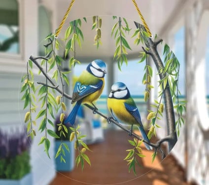 Raamhanger , zonnevanger ( pimpelmees ) decoratie