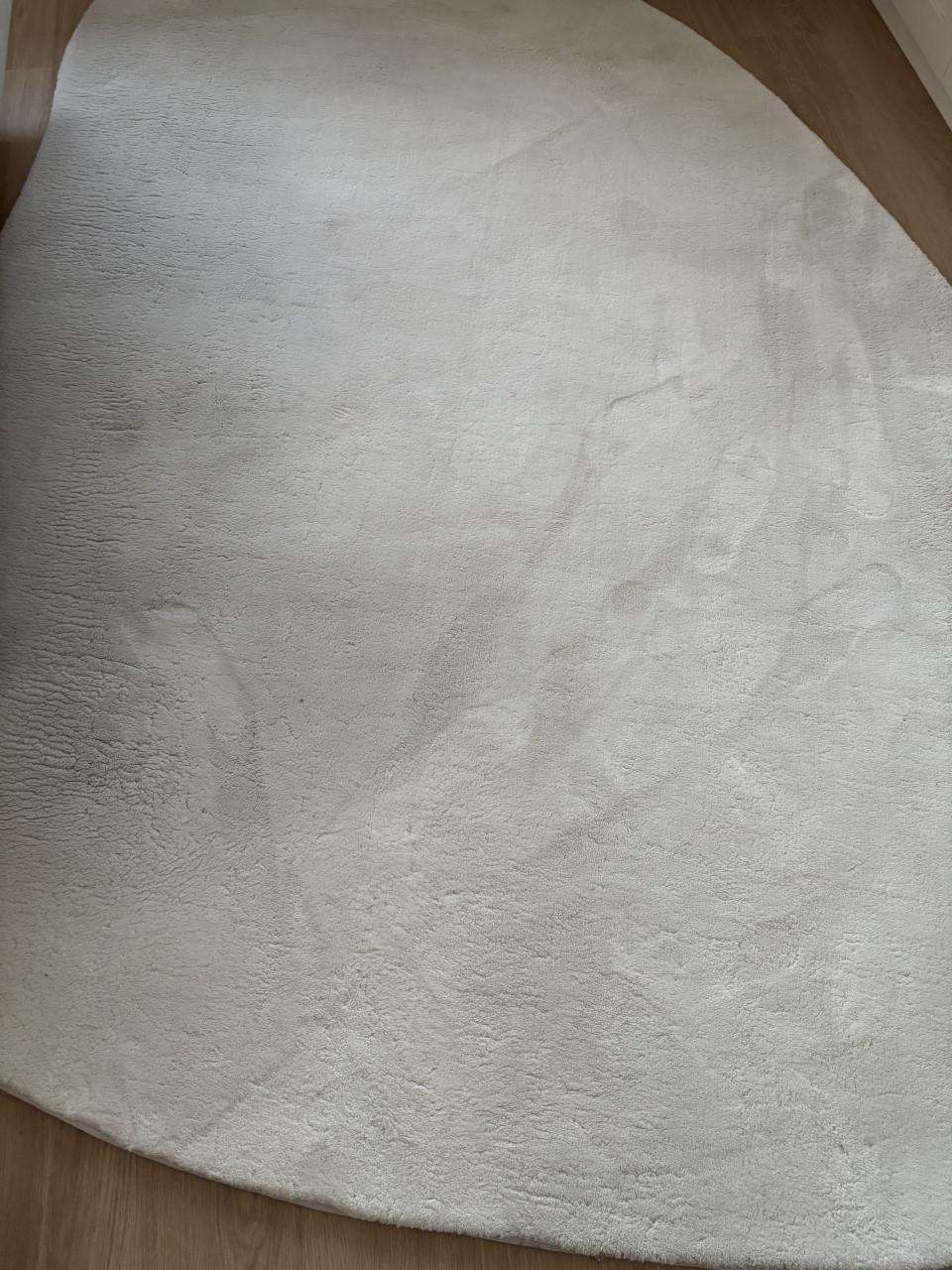 Vloerkleed Sicilie Karwei