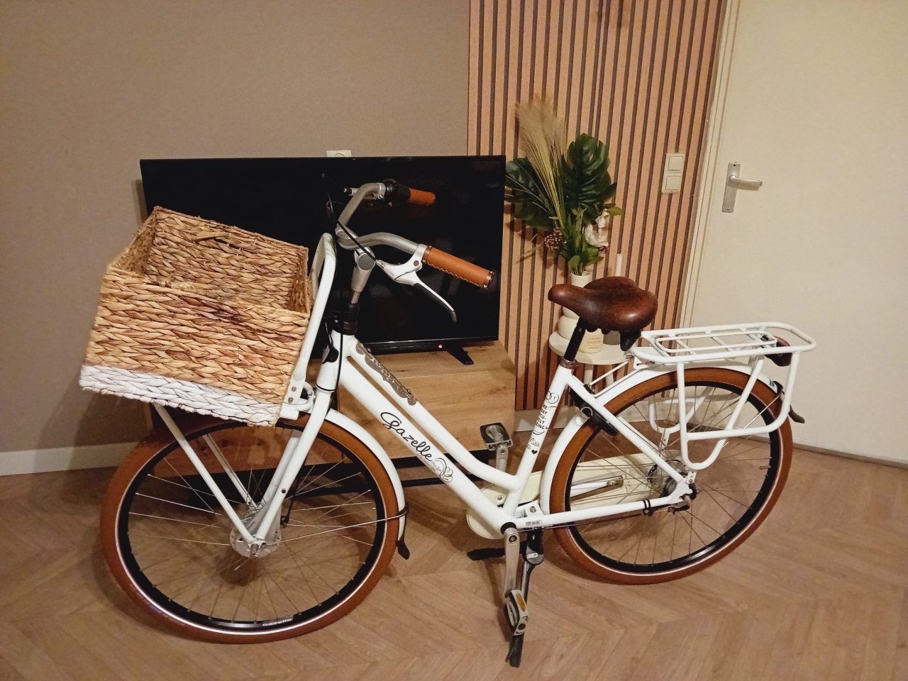 Mooie Gazelle Miss Grace Z.G.A.N.