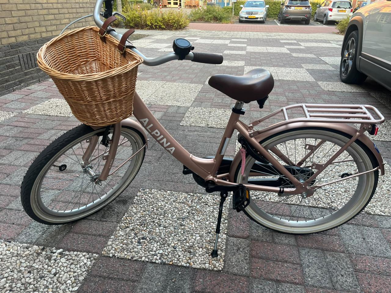 Meisjes fiets