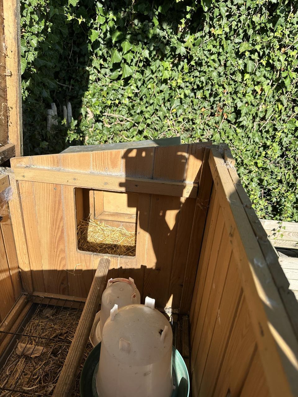 🐔 Kippenhok met zinken dak en legnest €95