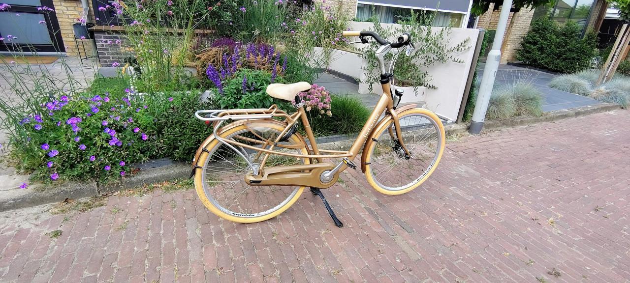Dames fiets Batavus Mambo deluxe 28 inch