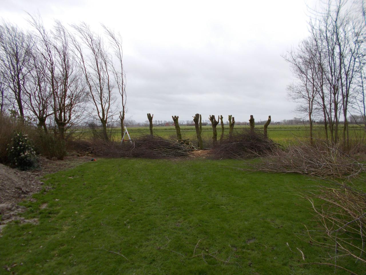 Zoekt u een goede Hovenier ?