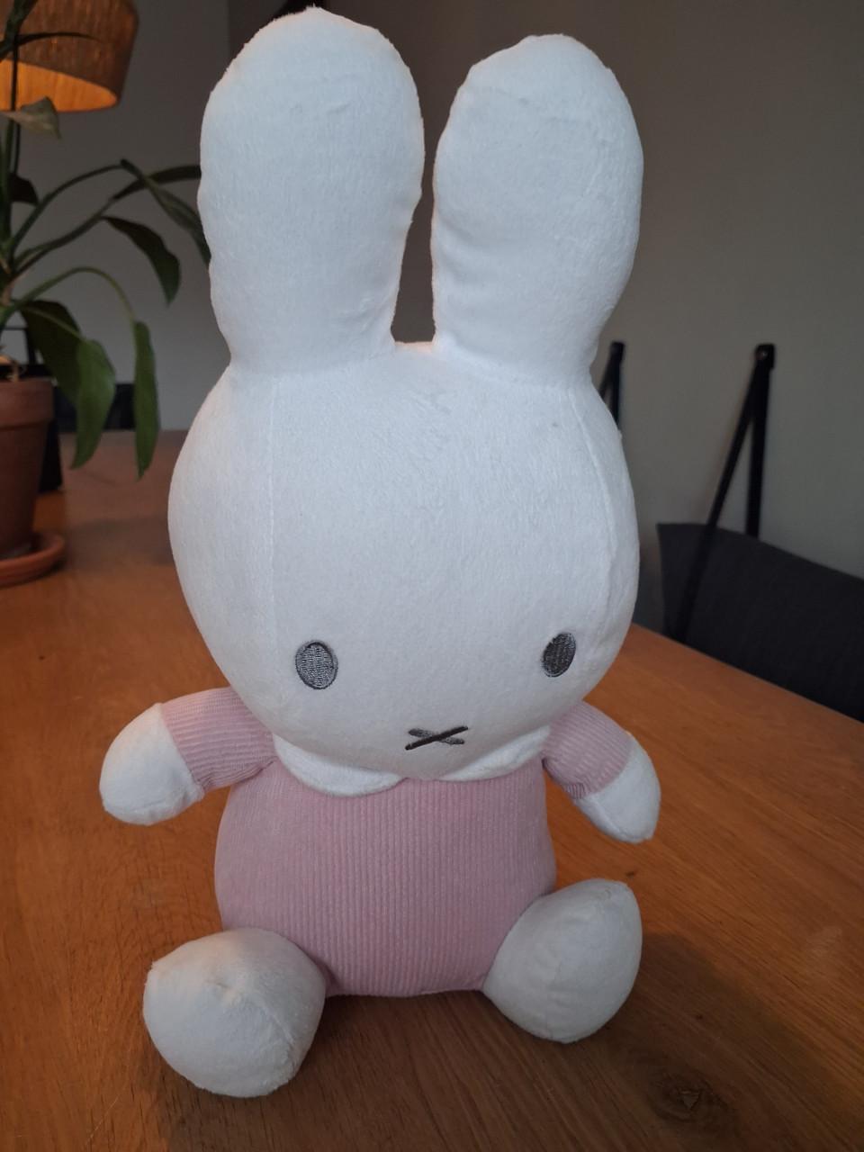 Leuke Nijntje accessoires (Hema)