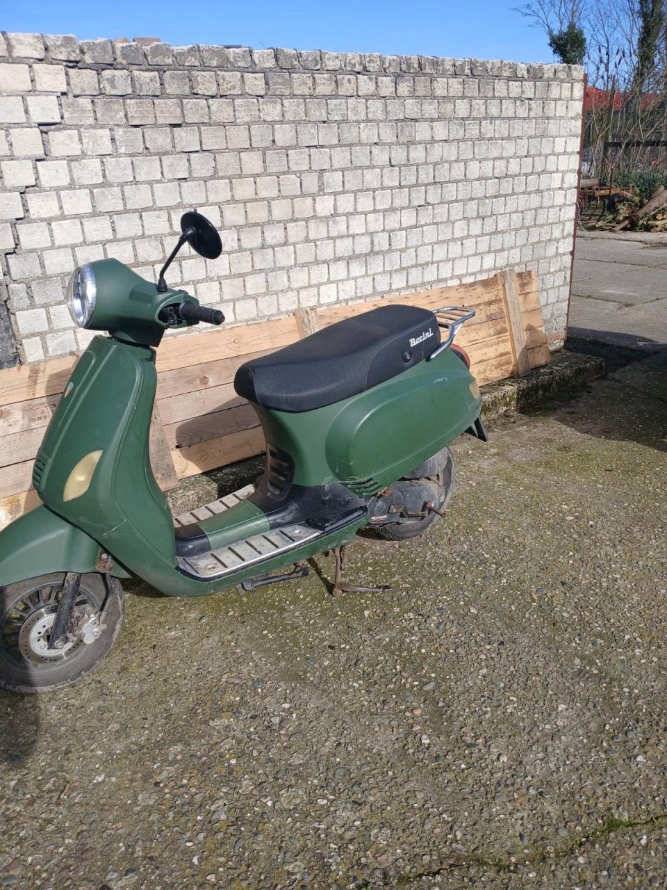 Riva snor