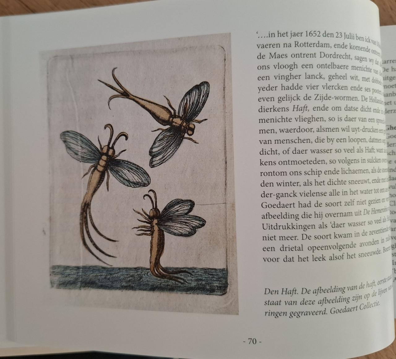Johannes Goedaert, fijnschilder en entomoloog. Door Kees Beaart e,a,