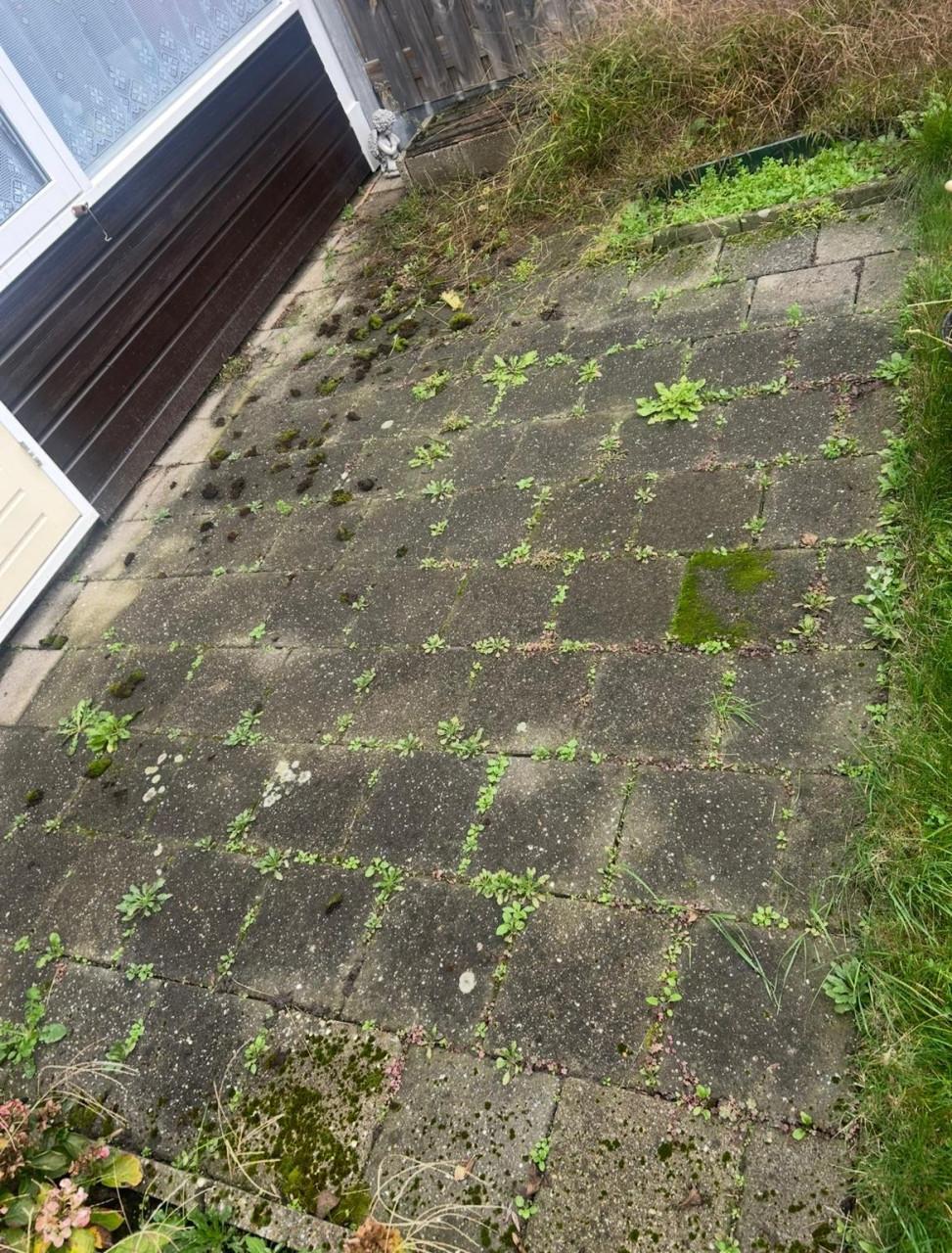 Terras, oprit of gevel vies? Wij maken het weer als nieuw!