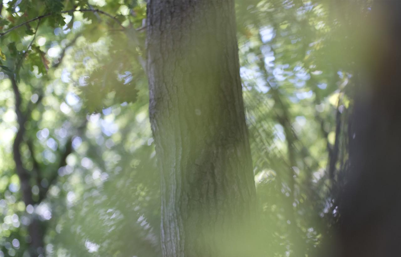 Lezing: fotograferen buiten de lijntjes