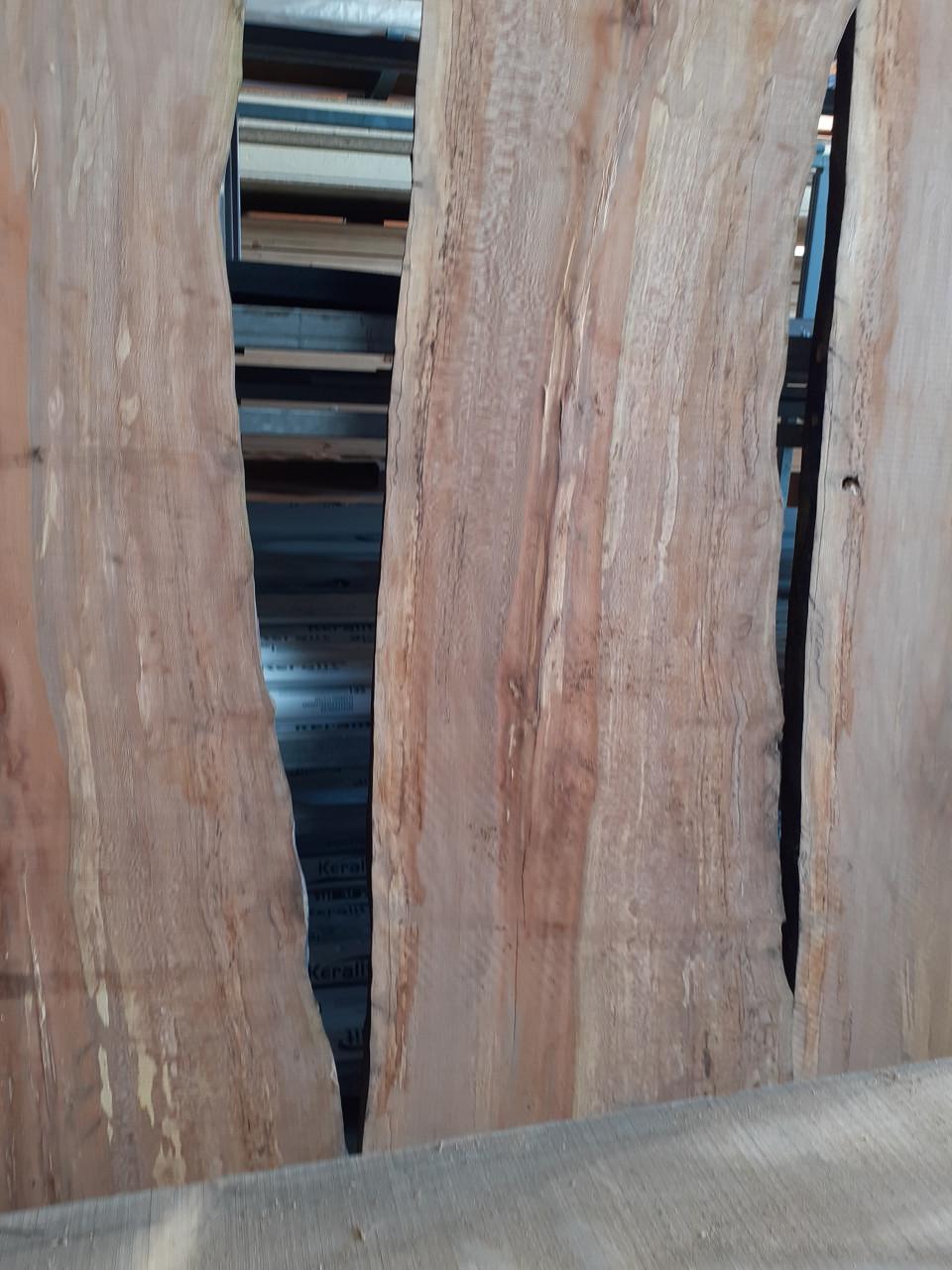 Kers plataan iep es linde boomstam bladen voor een leuke prijs