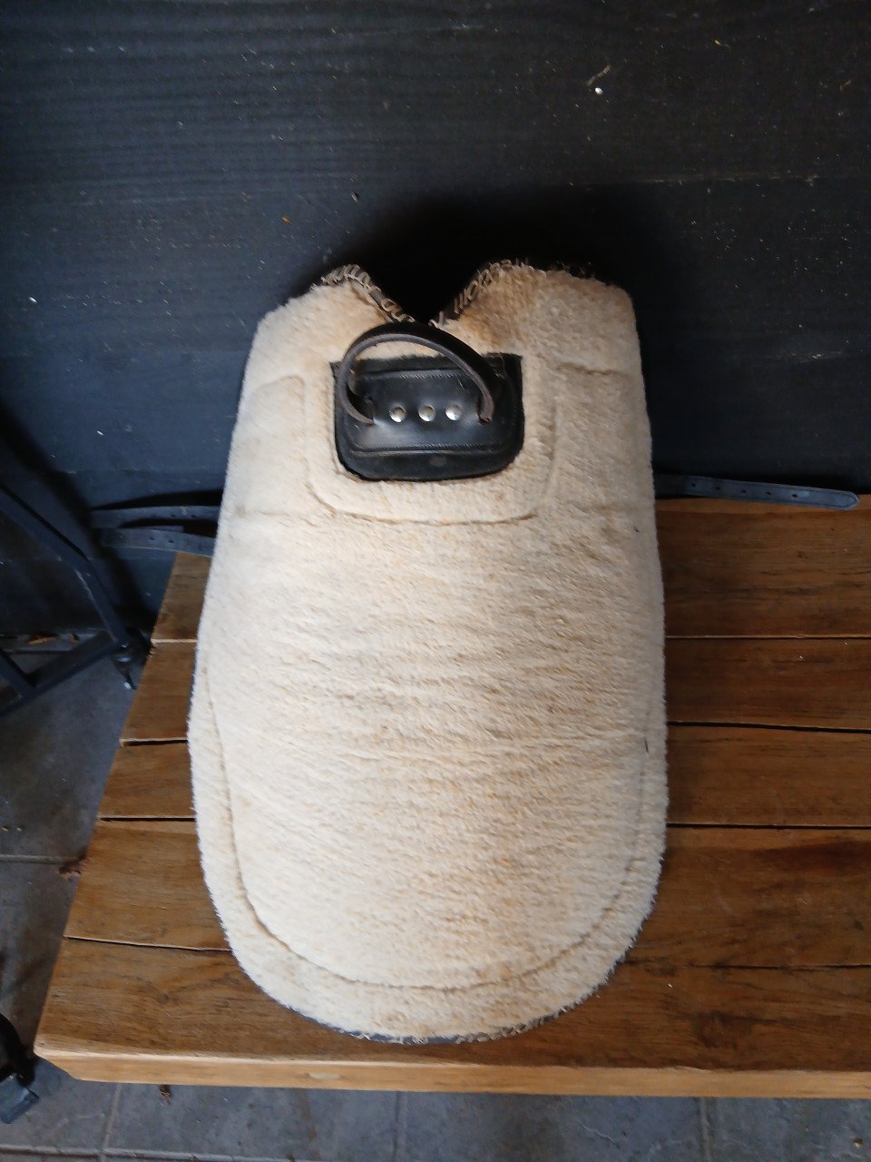 Rijpad