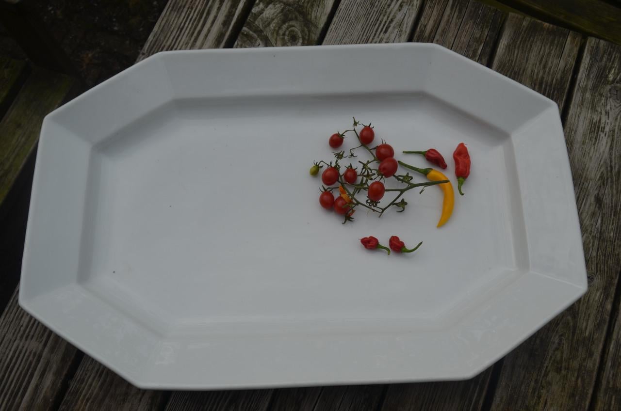 Enorme 8-kantige aardewerk schaal / schotel ipst