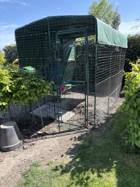 Omlet inloopren 3x2x2 m , zelf demonteren