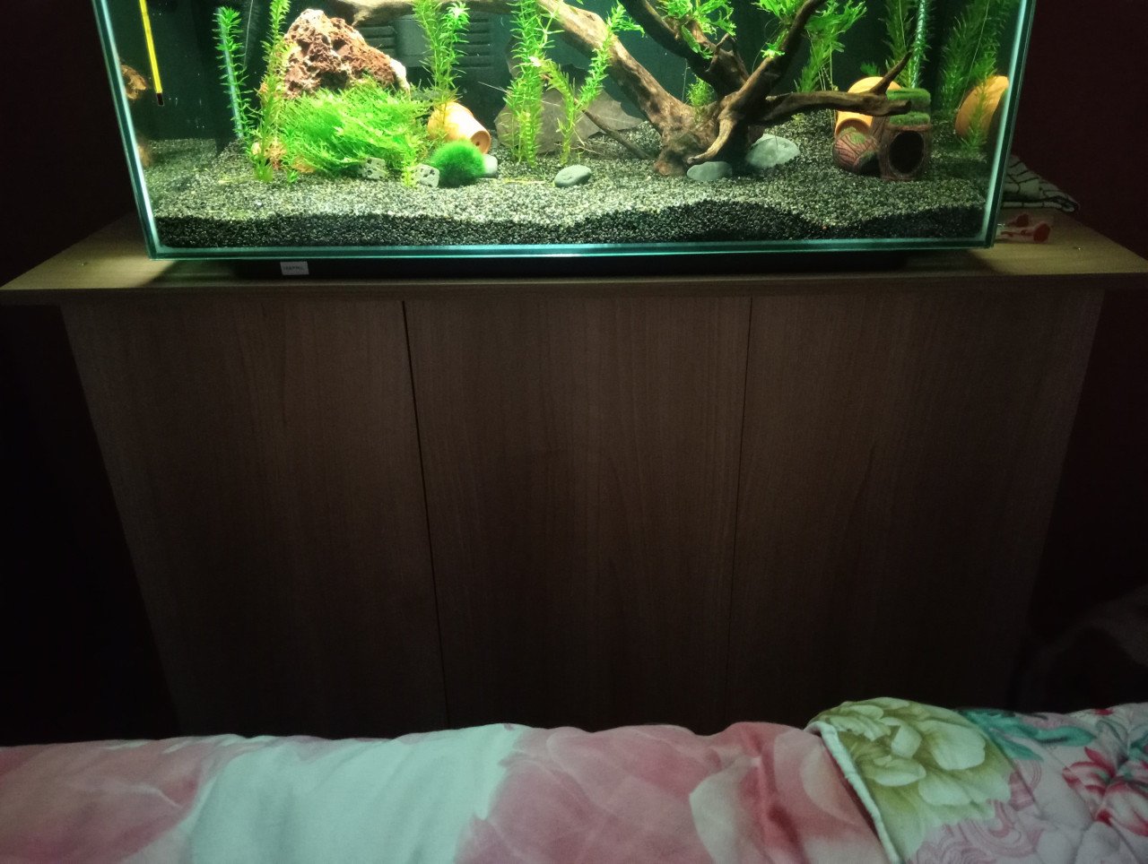 Walstad aquarium home 110