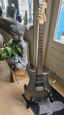 Washburn Elektrishe gitaar