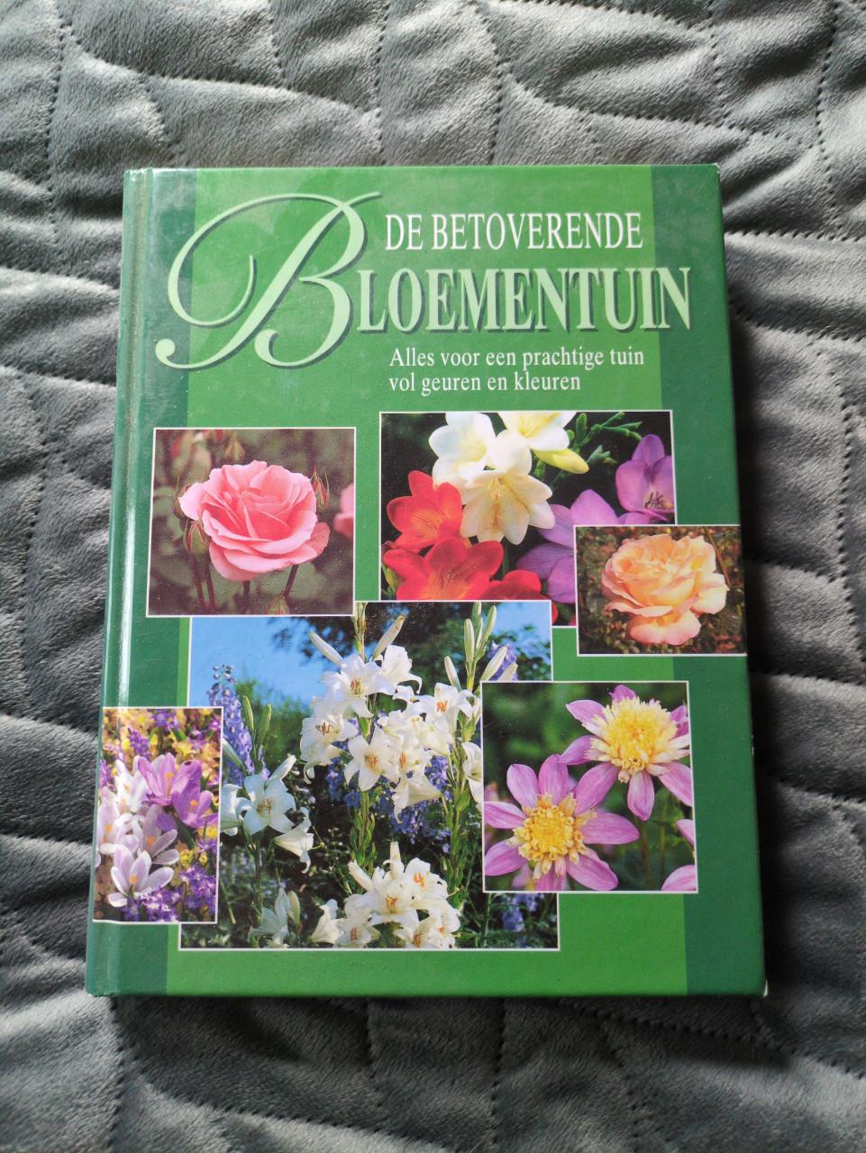Bloementuin