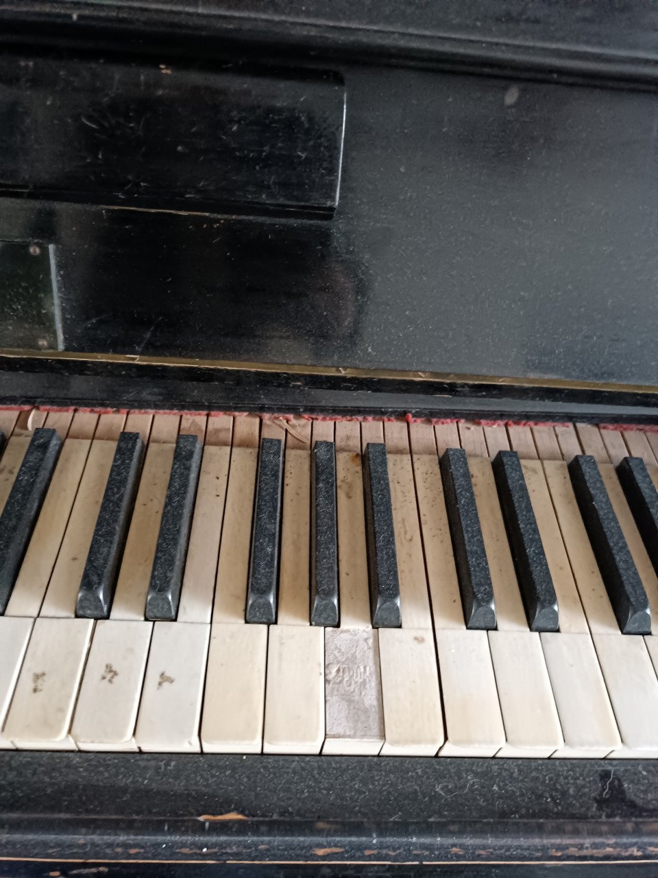 Piano steinbach