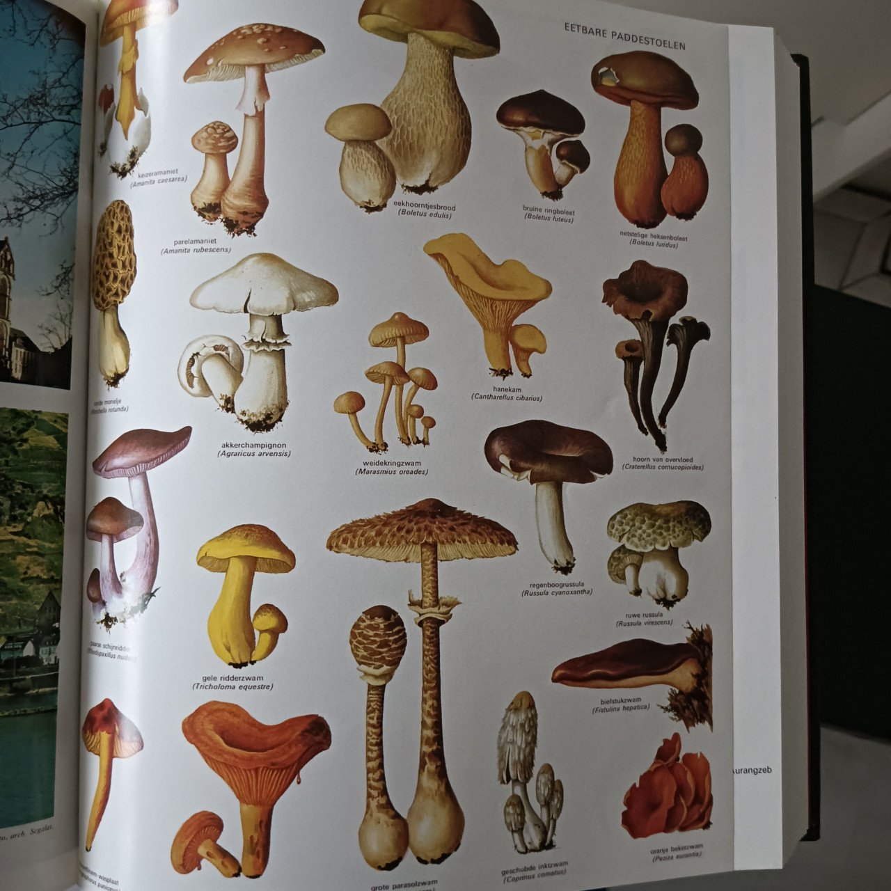 Prachtige Larousse Encyclopedie, incl medisch, 25 delen