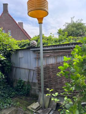 Korfbal paal