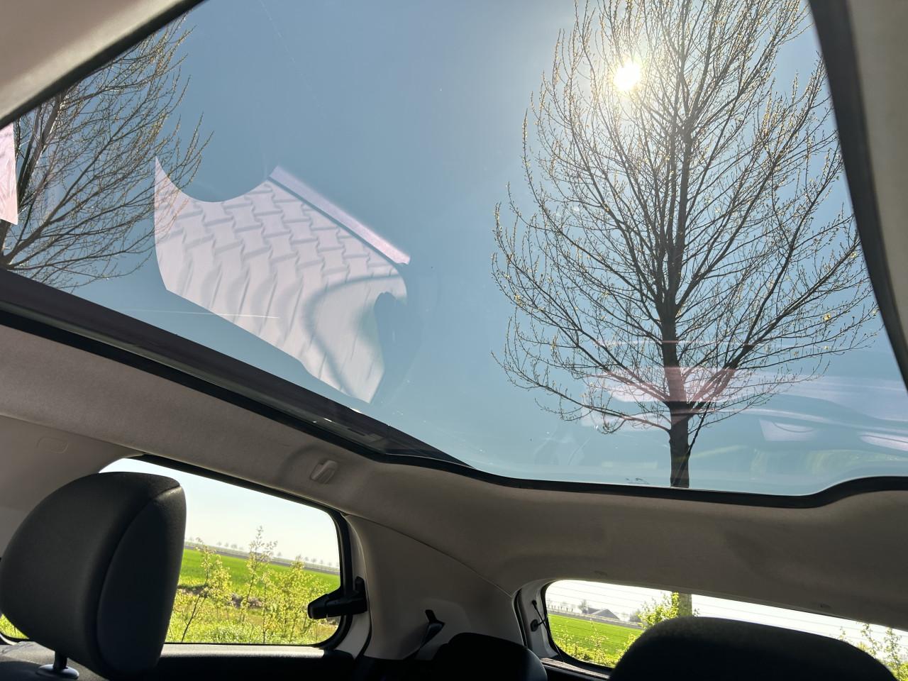 Citroen C4 Cactus 1.2 e-THP Shine|APK|PANO|AIRCO|NAVI|