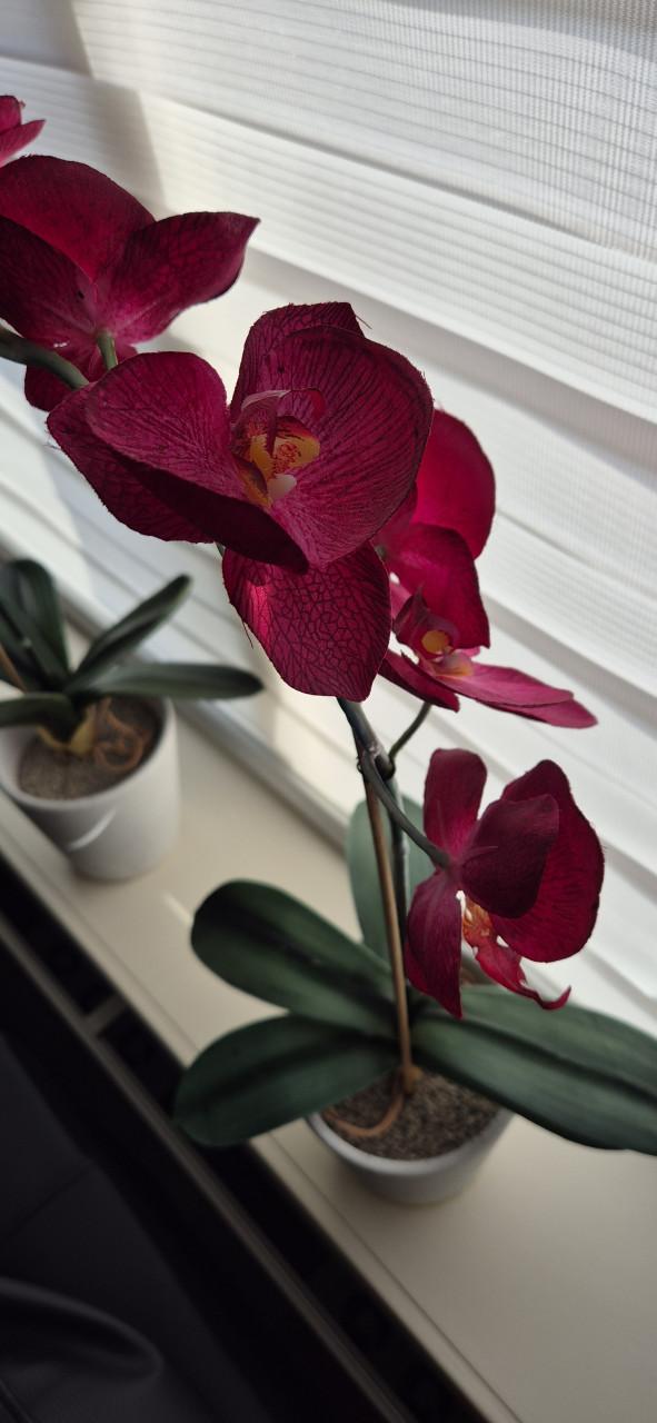 Kunstbloem orchideeën