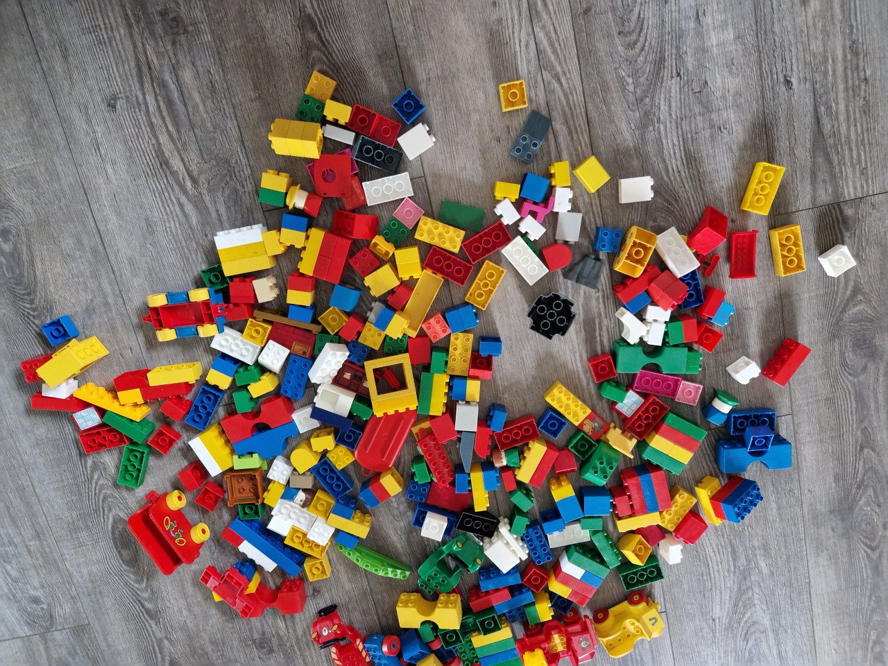 Bak duplo