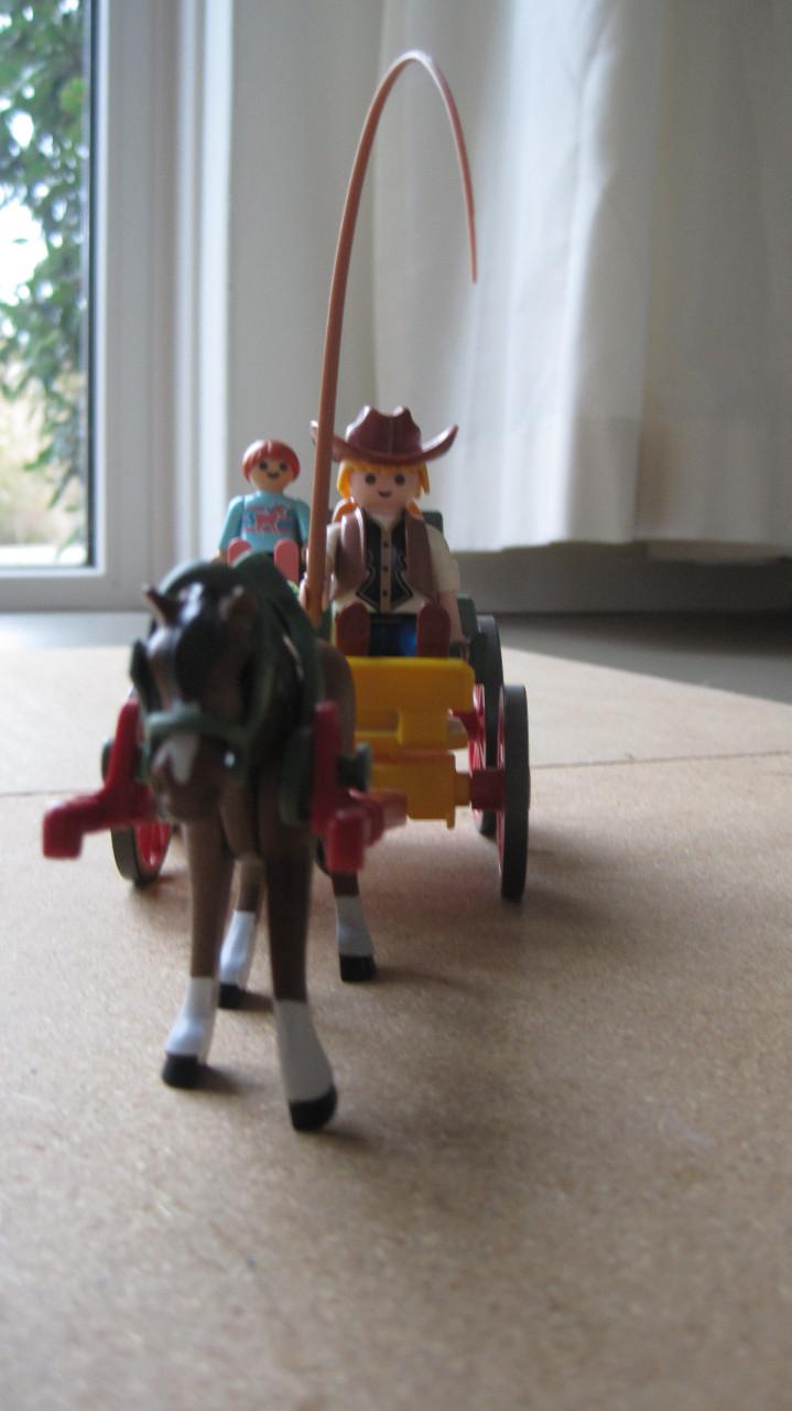 Countrypaard en kar Playmobil (nr. 6932)