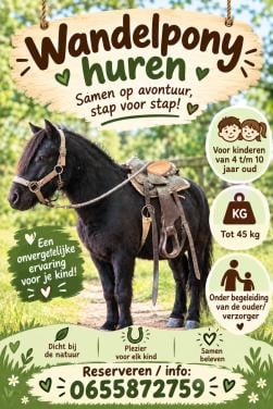 Wandelpony te huur