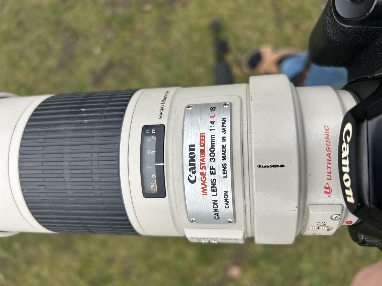 Canon 40D, 300m F4, MAnfrottto, Sigma 17-70 toebehoren