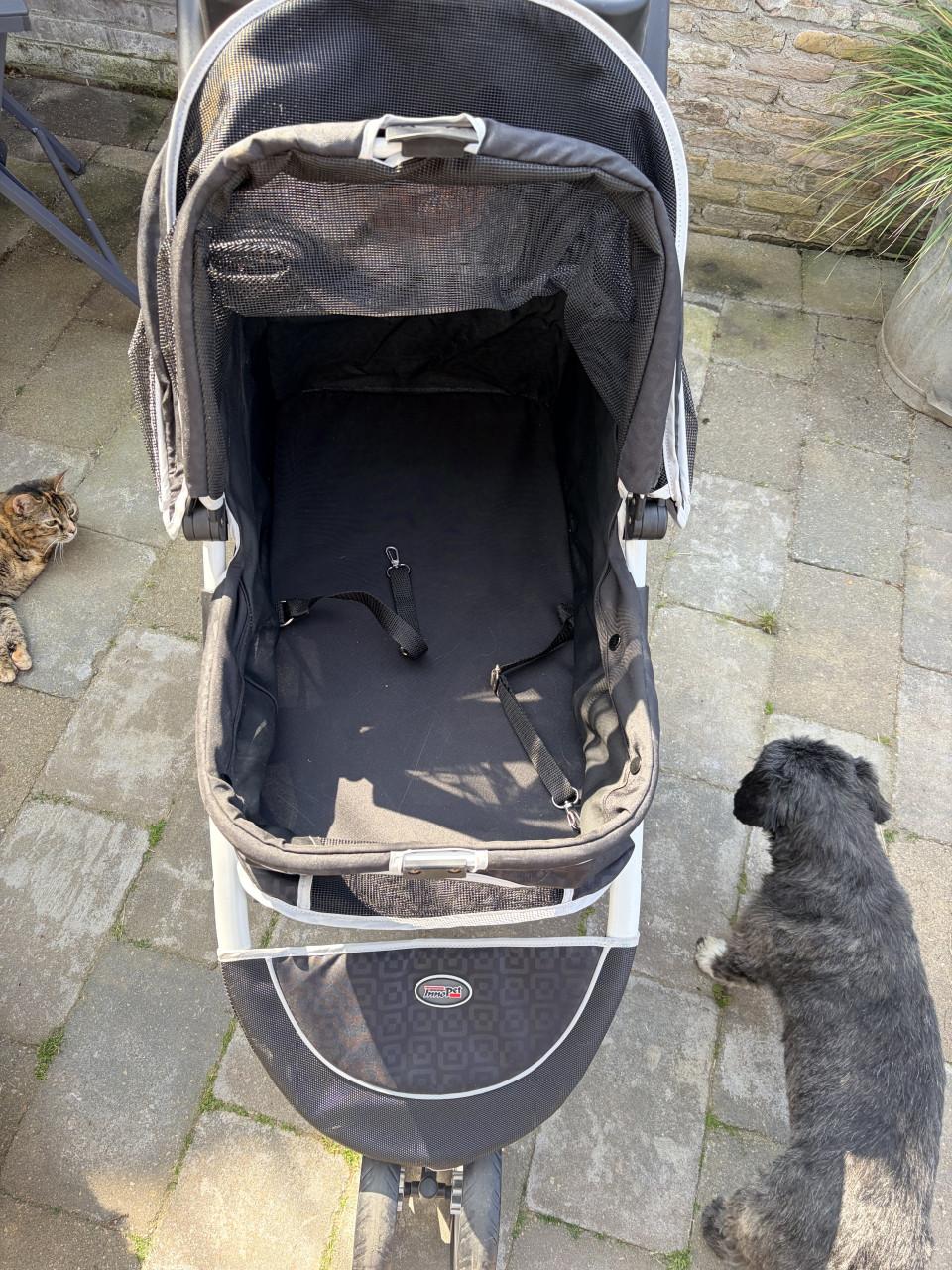 Inboort honden buggy