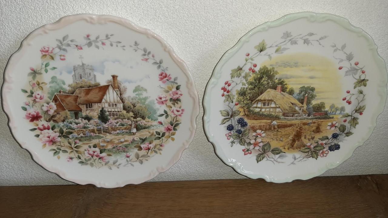 Curiosa