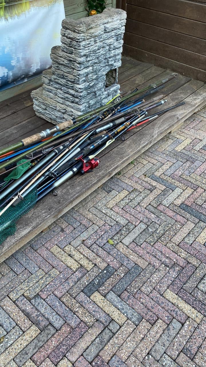Vishengels