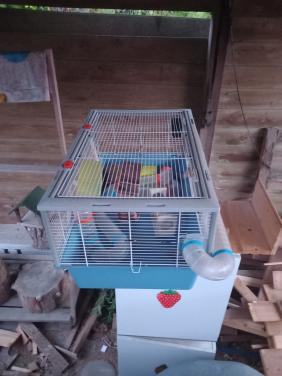 Gratis hamsterkooi