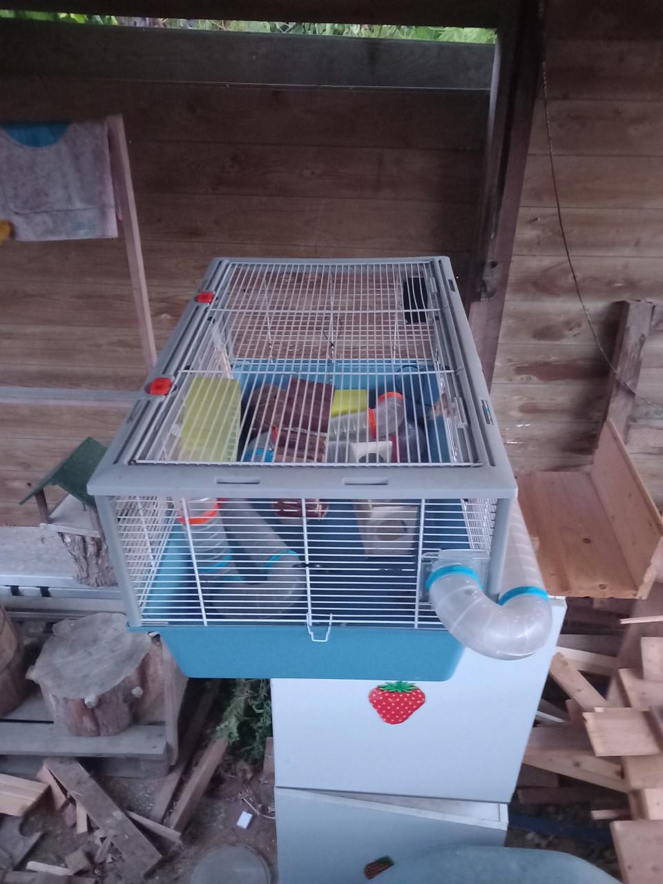 Gratis hamsterkooi