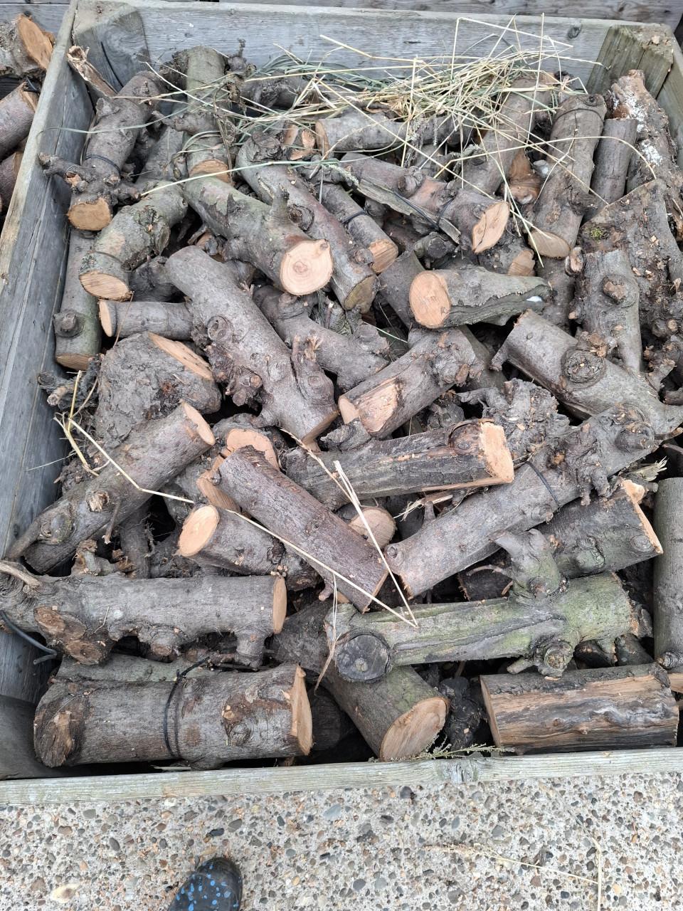 Te koop droog openhaardhout van appel