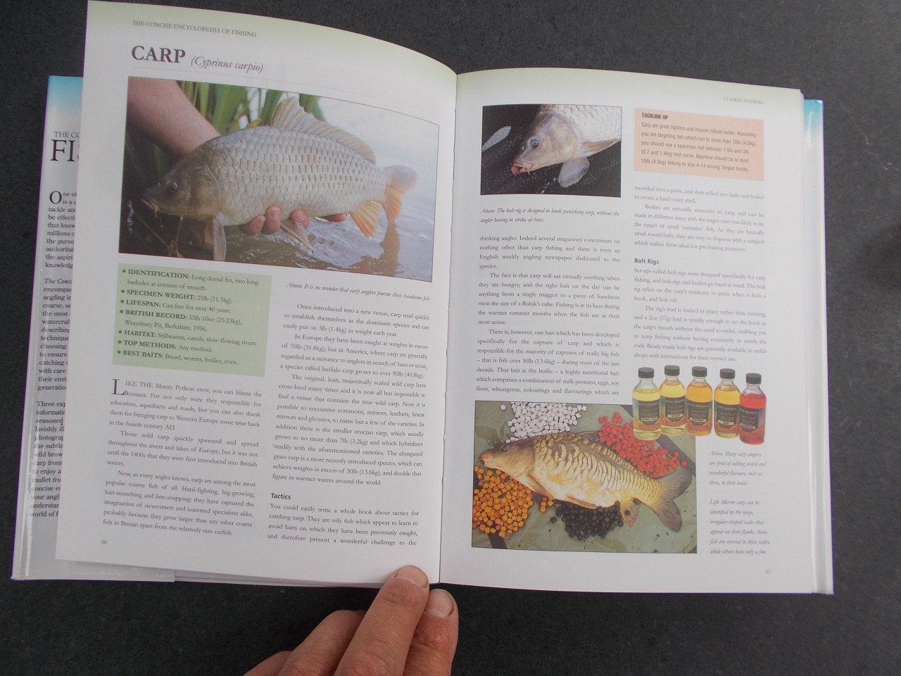 FISHING : Zee-, ZOET-VLIEGVISSEN  . 256 pagina's