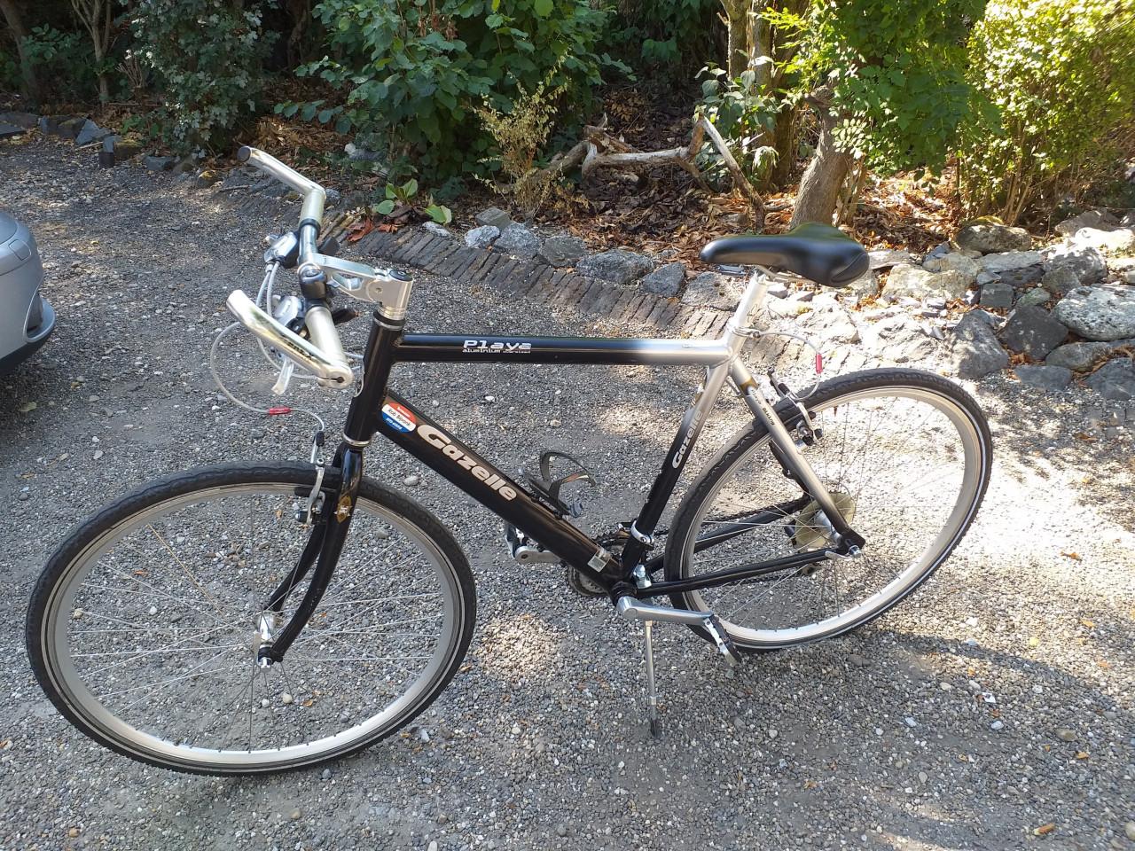 """"GAZELLE GRAVELBIKE PLAYA oversized profesional in prima staat""""
