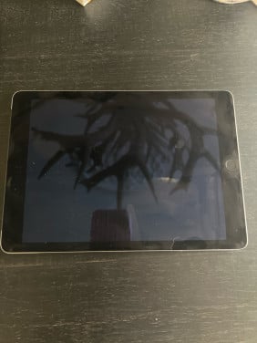 Ipad Air 2 + hoes