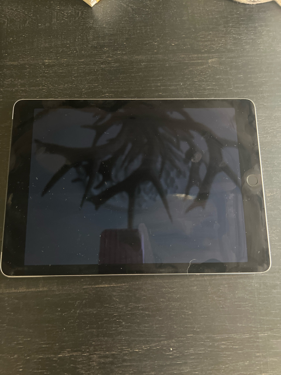 Ipad Air 2 + hoes