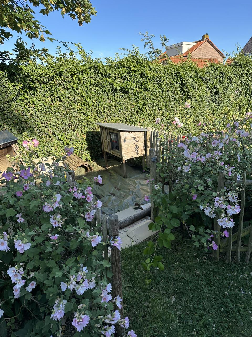 🐰 Leuk houten konijnenhok met zinken dak €85