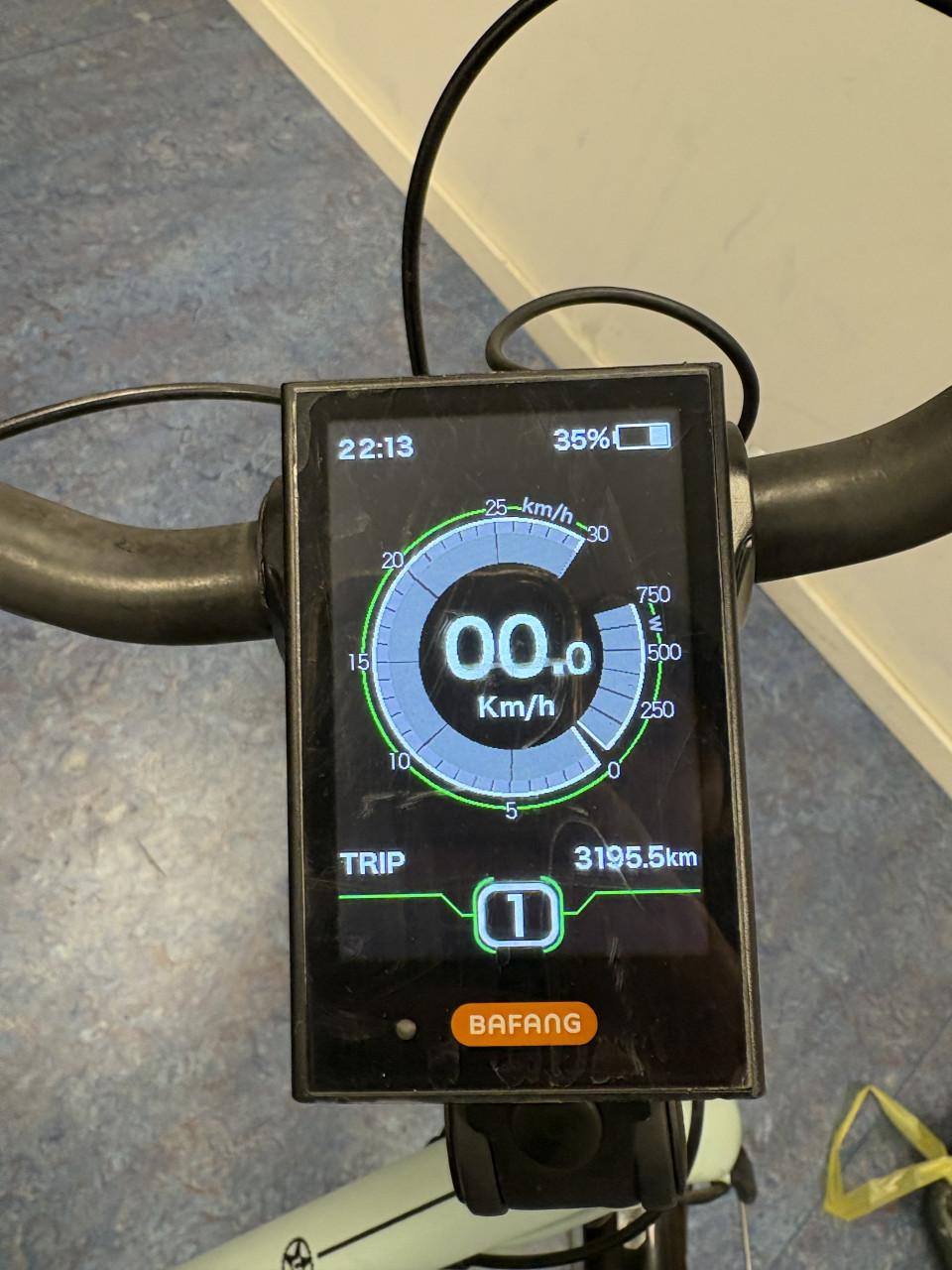 Union fast elektrische damesfiets.