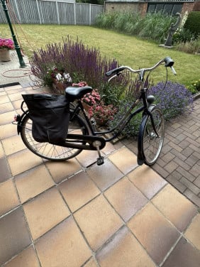 Damesfiets lage instap
