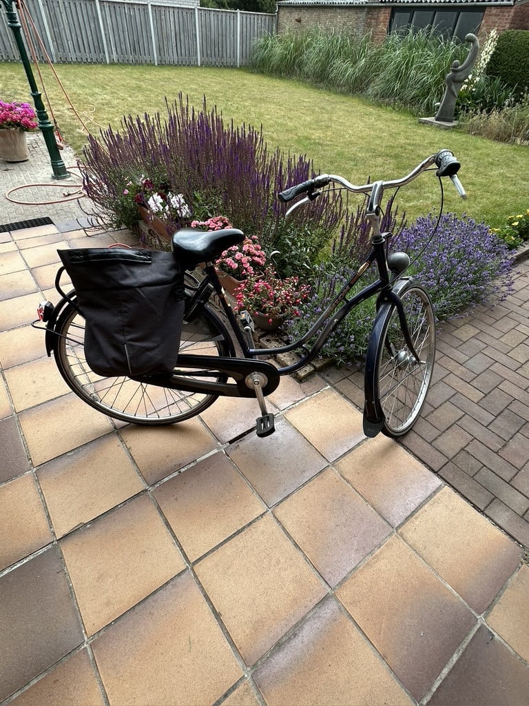 Damesfiets lage instap union
