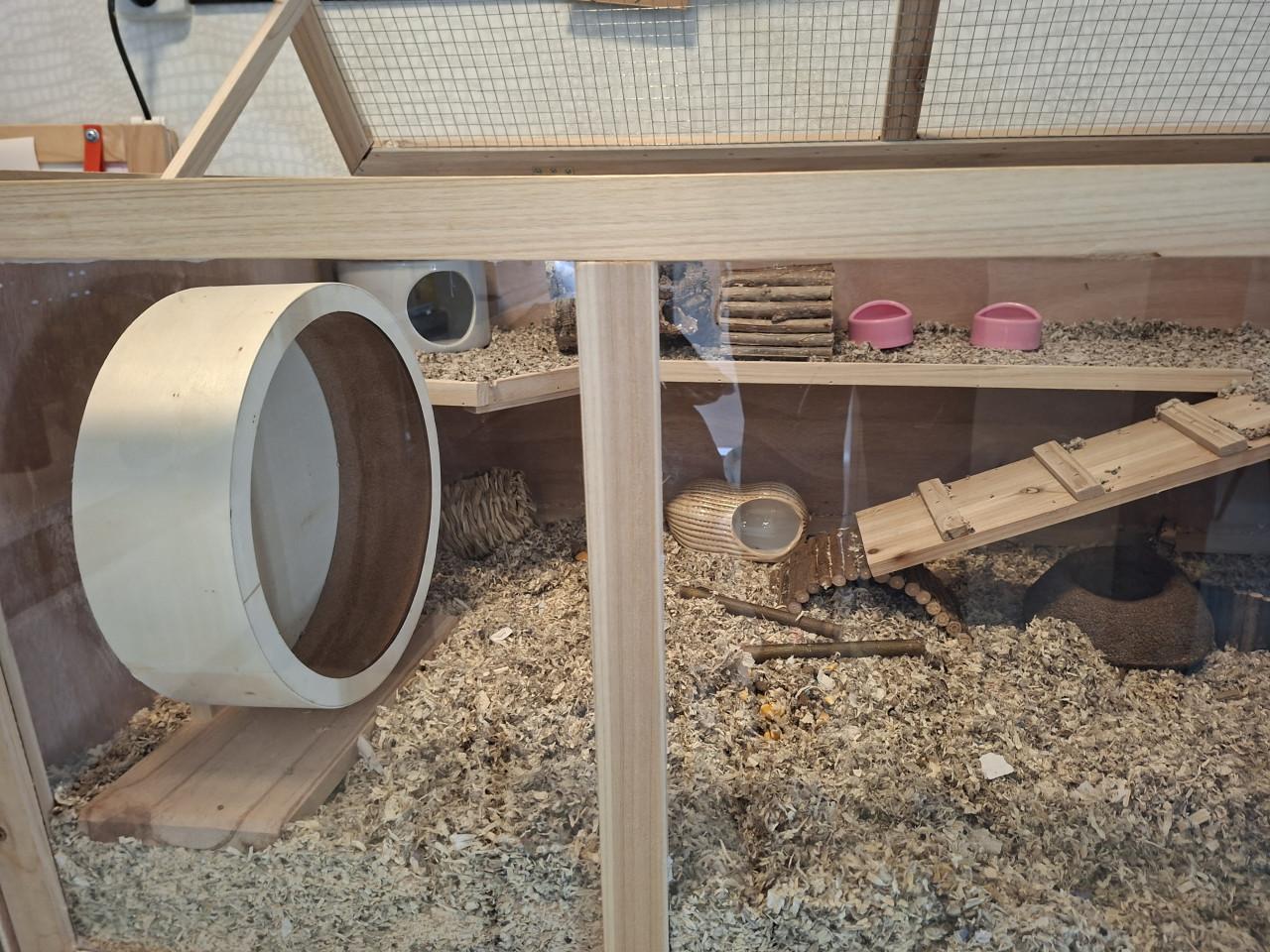 Hamster kooi