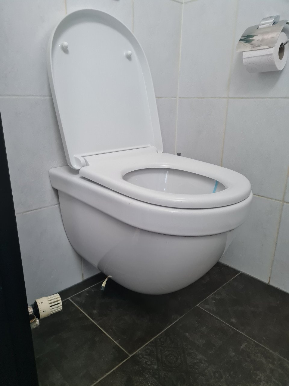 Villeroy & Boch wandcloset