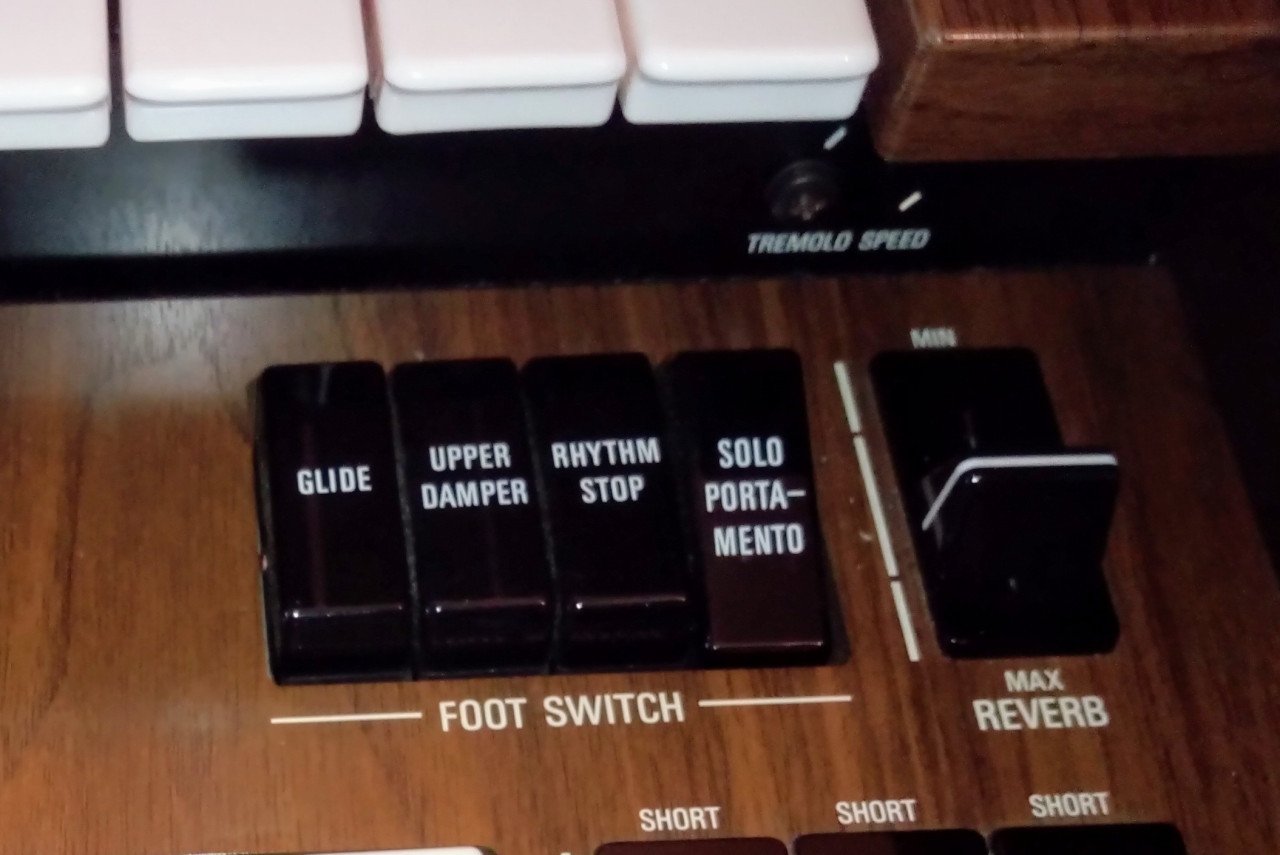 YAMAHA D-85