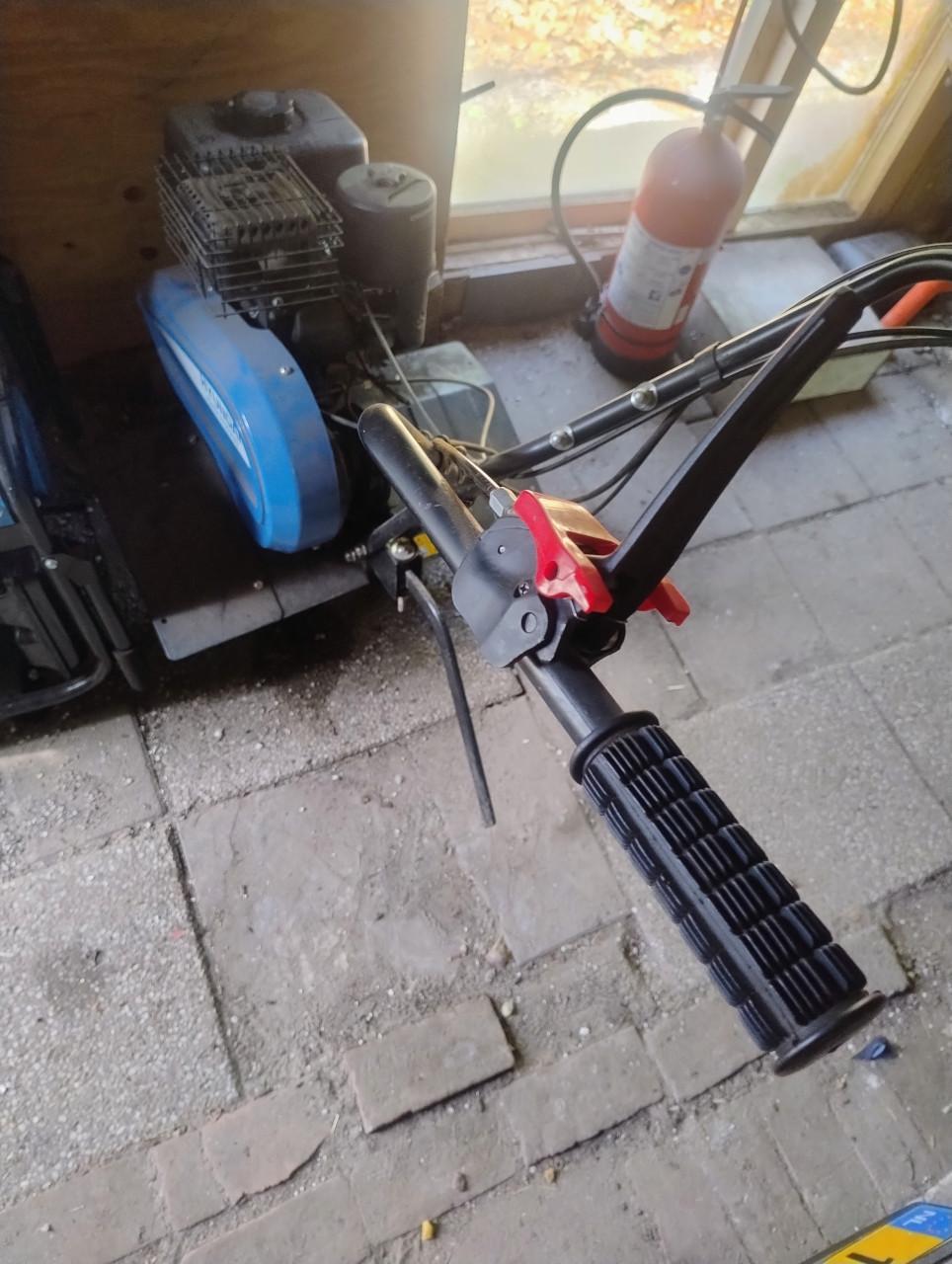 Tuinfrees