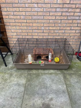 Kooi cavia/konijn