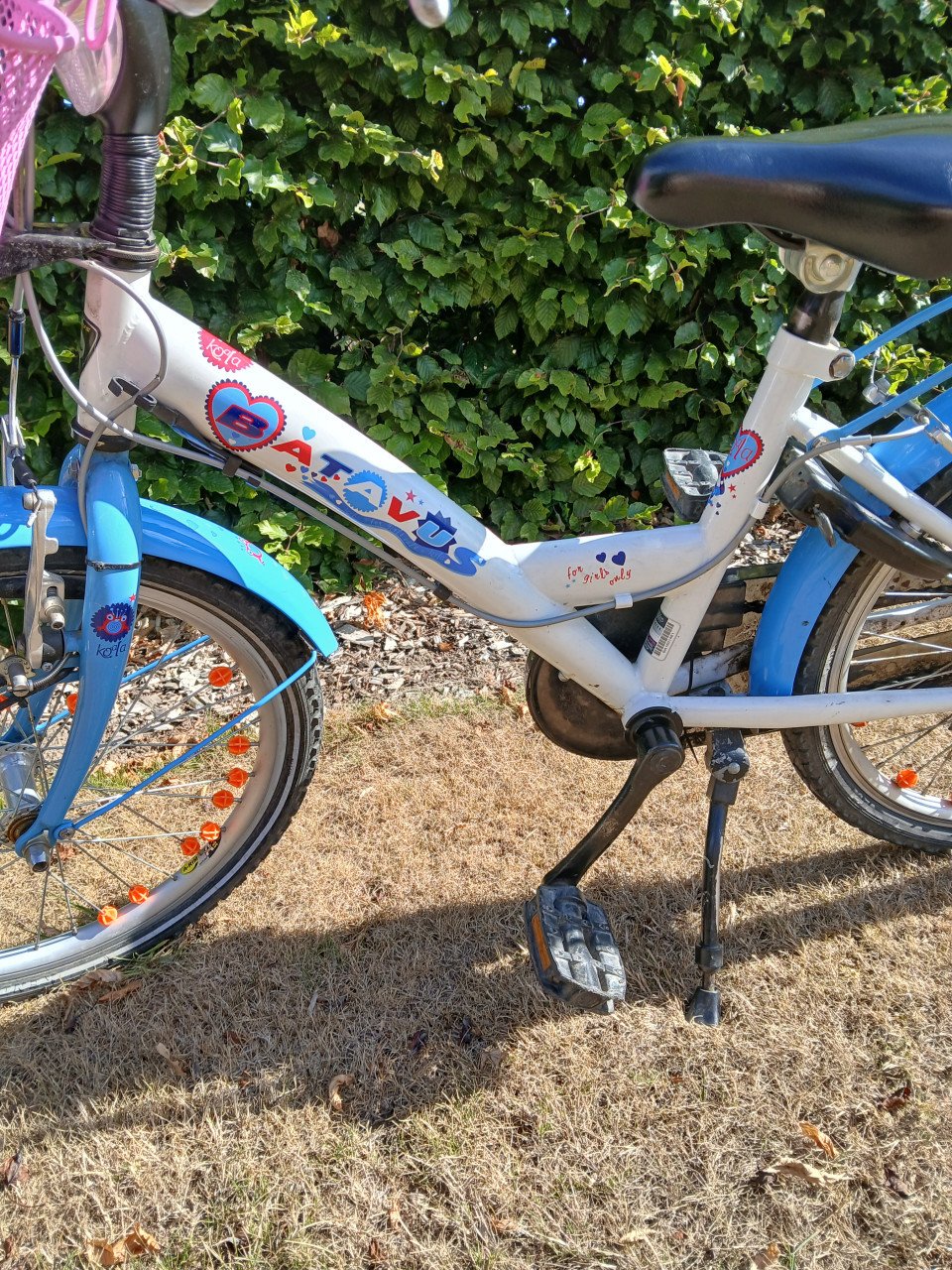 Batavus kinderfiets 20 inch